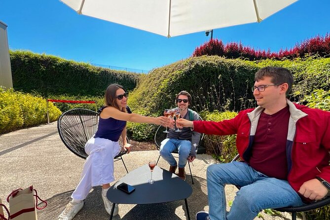 Champagne Picnic and Tasting on Vineyard. Private Tour from Paris - Key points to know before you book