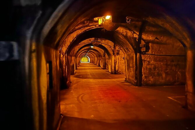 Champagne Picnic and Tasting on Vineyard. Private Tour from Paris - A private format with a personal touch