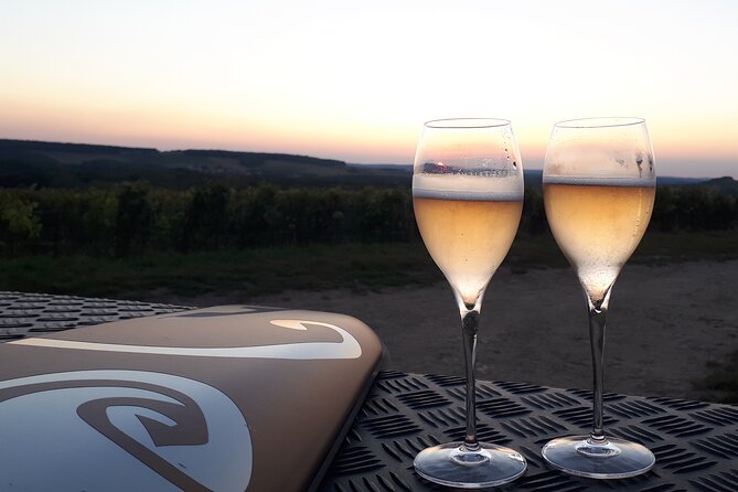 Champagne tasting, panoramic walk in the vineyards - Why Christophe makes a difference