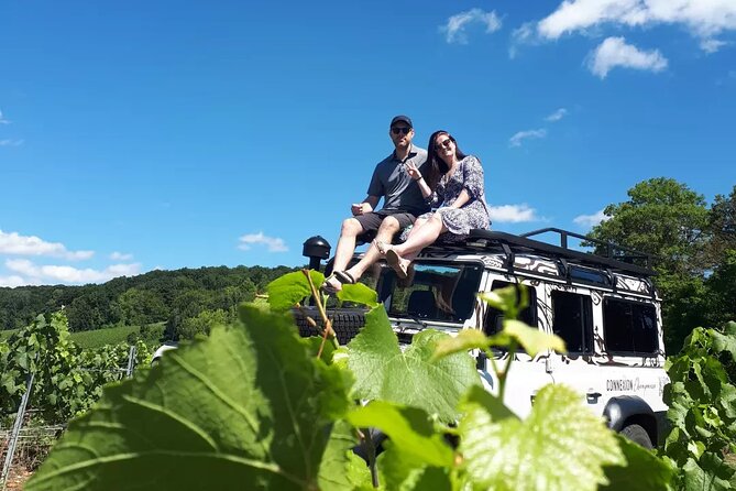 Champagne tasting, panoramic walk in the vineyards - Who will enjoy this Champagne outing