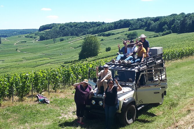 Champagne tasting, panoramic walk in the vineyards - Weather, cancellation, and practical planning