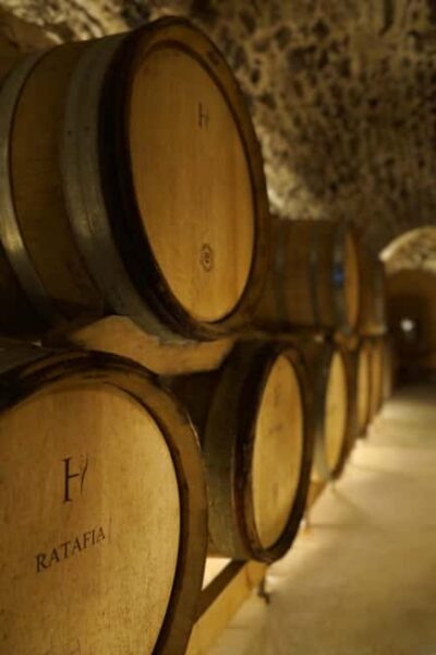 Champagne Vineyard Experience: Delve into the terroir