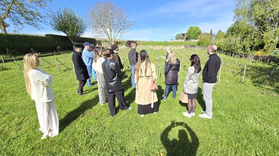 Champagne Vineyard Experience: Delve into the terroir - What the guides do best
