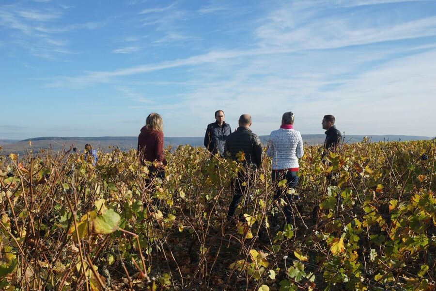 Champagne Vineyard Experience: Delve into the terroir - How the timing works