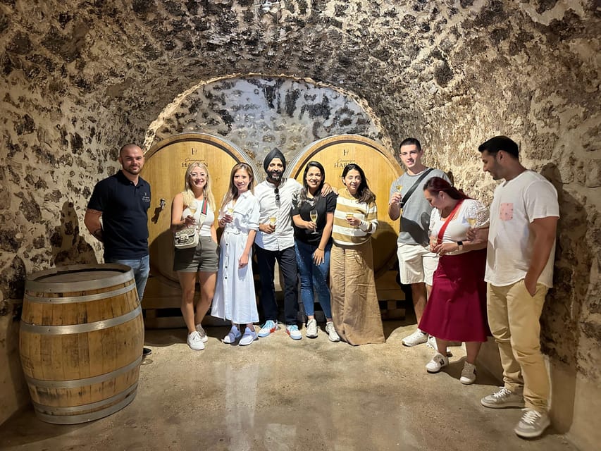 Champagne Vineyard Experience: Delve into the terroir - Practical value at $28 per person