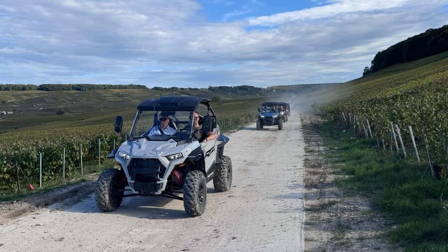 Champagne vineyards: 2-hour guided tour of the vineyards in a Buggy - Setting out from the Champagne vineyards