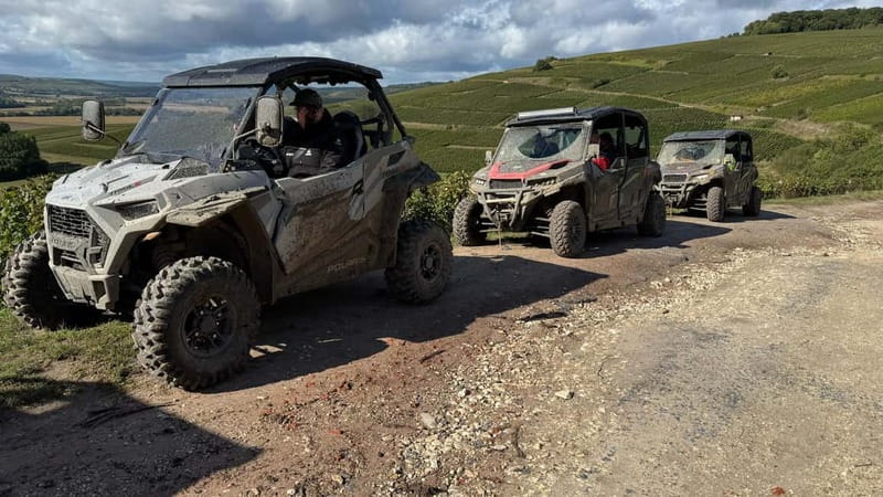 Champagne vineyards: 2-hour guided tour of the vineyards in a Buggy - The route, scenery, and changing seasons