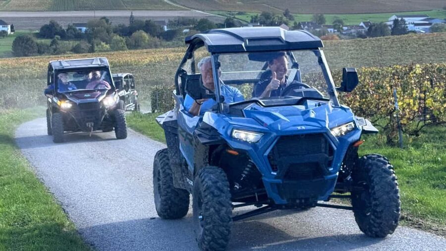 Champagne vineyards: 2-hour guided tour of the vineyards in a Buggy - The optional Champagne picnic