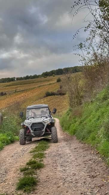 Champagne vineyards: 2-hour guided tour of the vineyards in a Buggy - Is $542 good value for two people?