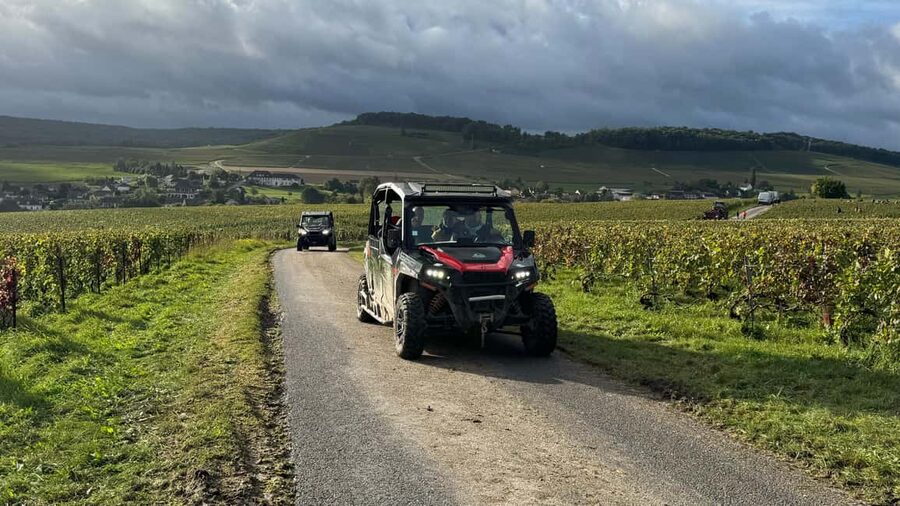 Champagne vineyards: 2-hour guided tour of the vineyards in a Buggy - Who will enjoy this buggy tour most?