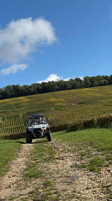 Champagne vineyards: 2-hour guided tour of the vineyards in a Buggy - Practical details that matter