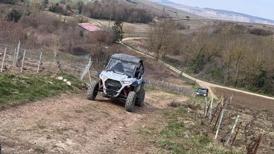 Champagne vineyards: 2-hour guided tour of the vineyards in a Buggy - What you learn about the vines