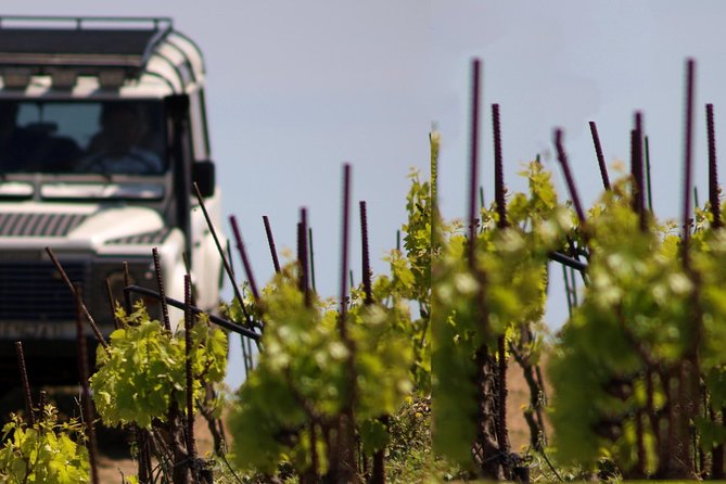 Chania Shore Excursion Off Road Vineyard and Winery Tour Half Day - Why this Crete shore excursion is different