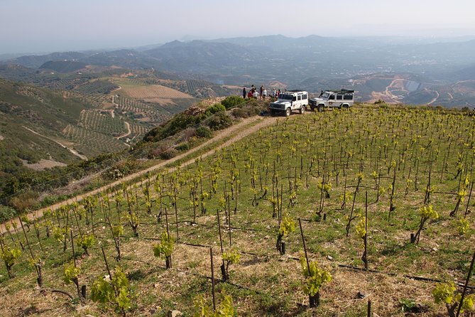 Chania Shore Excursion Off Road Vineyard and Winery Tour Half Day - Vatolakos Hills and the 660-meter viewpoint