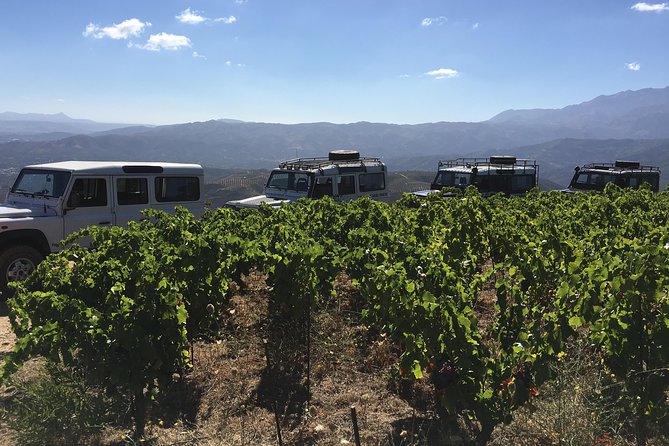 Chania Shore Excursion Off Road Vineyard and Winery Tour Half Day - Inside Manousakis Winery for two unhurried hours
