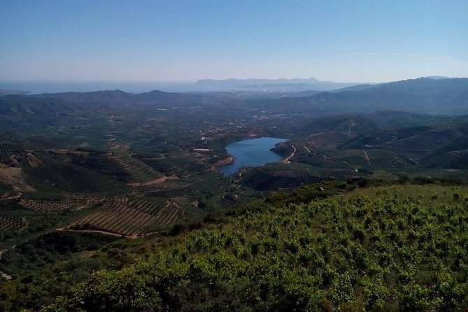 Chania Shore Excursion Off Road Vineyard and Winery Tour Half Day - Is the $107 price good value?