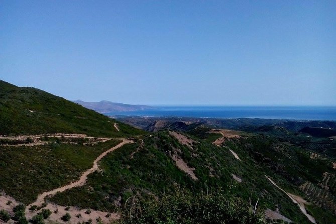 Chania Shore Excursion Off Road Vineyard and Winery Tour Half Day - Who should book this tour?