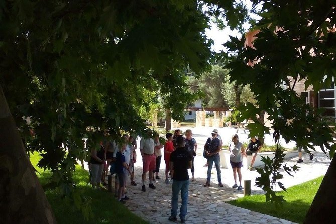 Chania Shore Excursion Off Road Vineyard and Winery Tour Half Day - Timing, meeting point, and cancellation details