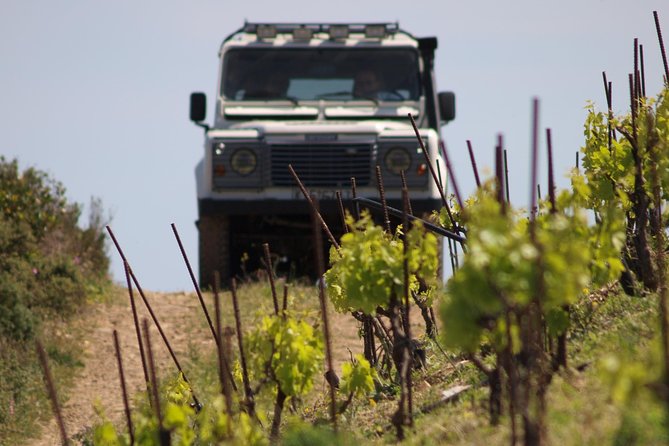 Chania Shore Excursion Off Road Vineyard and Winery Tour Half Day - My verdict: book it if you want hills with your wine