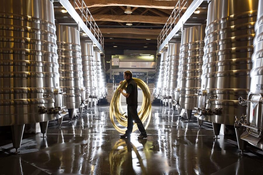 Château Olivier: One Hour Vineyard Tour with Wine Tasting - Key Points at a Glance