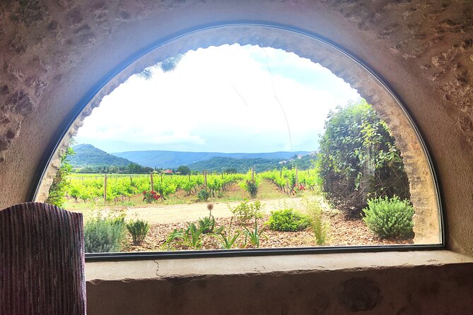 Chateauneuf du Pape and Luberon vineyard tour from Avignon - Why this private wine day works well from Avignon