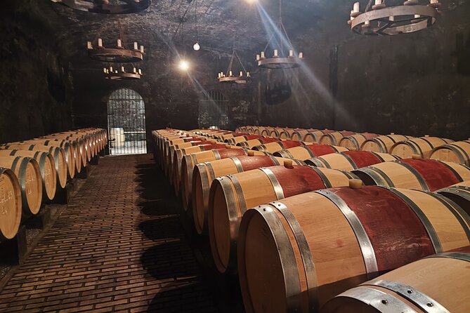 Chateauneuf du Pape and Luberon vineyard tour from Avignon - Starting among the vines of Châteauneuf-du-Pape