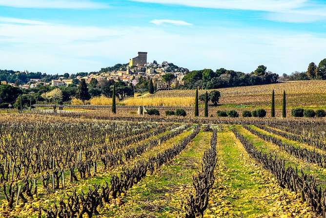 Châteauneuf Du Pape intensive vineyard & fine wine experience - Why Châteauneuf-du-Pape makes a strong wine day