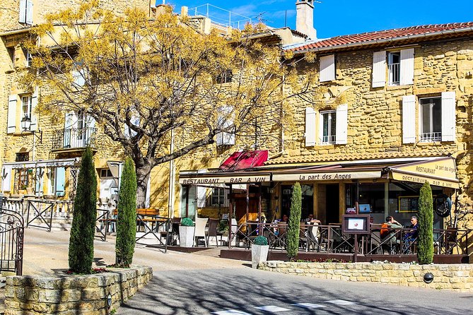 Châteauneuf Du Pape intensive vineyard & fine wine experience - What the private format changes