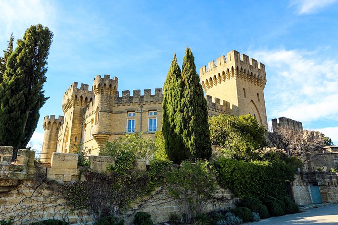 Châteauneuf Du Pape intensive vineyard & fine wine experience - Is $660.77 per person good value?