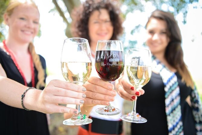 Chauffeured Adventure to Local San Diego Vineyards - Five things to know before you book