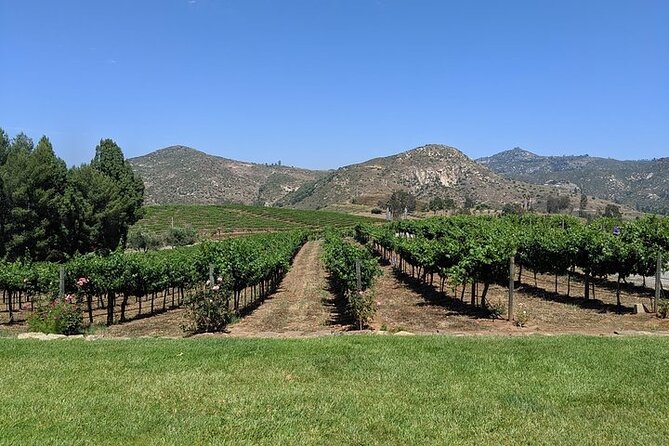 Chauffeured Adventure to Local San Diego Vineyards - Cordiano Winery brings the big view and dinner