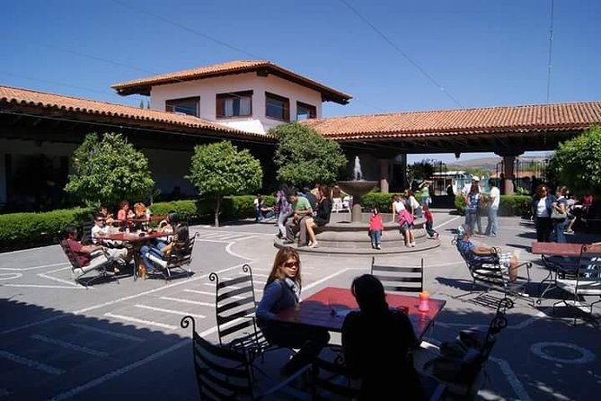 Cheese and Wine Route with 2 Towns, starting from Querétaro - Vina Tx: six cheeses and a modest wine pairing