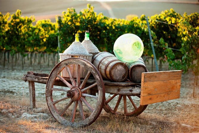 Chianti Delights: A Tale Of Two Wineries With A Vineyard Dinner - Wine, conversation, and the social side