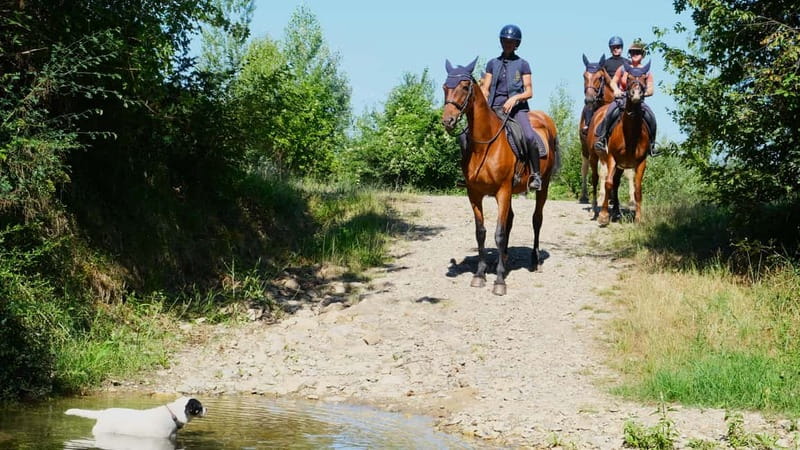 Chianti: Horseback Riding Through Vineyards and Woods - Key points to know before booking