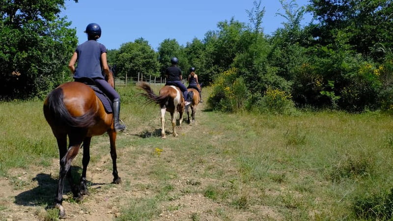 Chianti: Horseback Riding Through Vineyards and Woods - Why this Chianti ride is worth your time