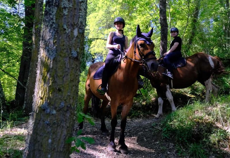 Chianti: Horseback Riding Through Vineyards and Woods - The test field makes the first minutes easier