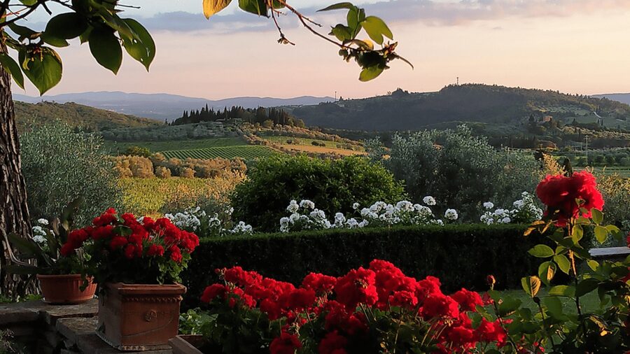 Chianti: Vineyard to Bottle Winery Visit with Tastings - Inside The Ancient Cellar