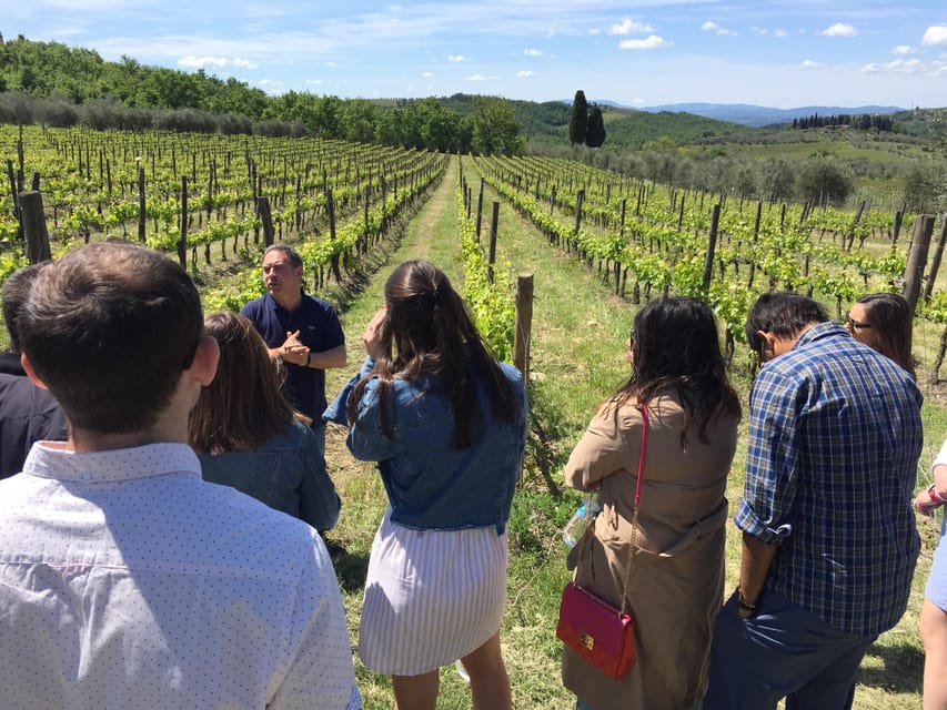 Chianti: Vineyard to Bottle Winery Visit with Tastings - Views, Timing, And The Practical Side