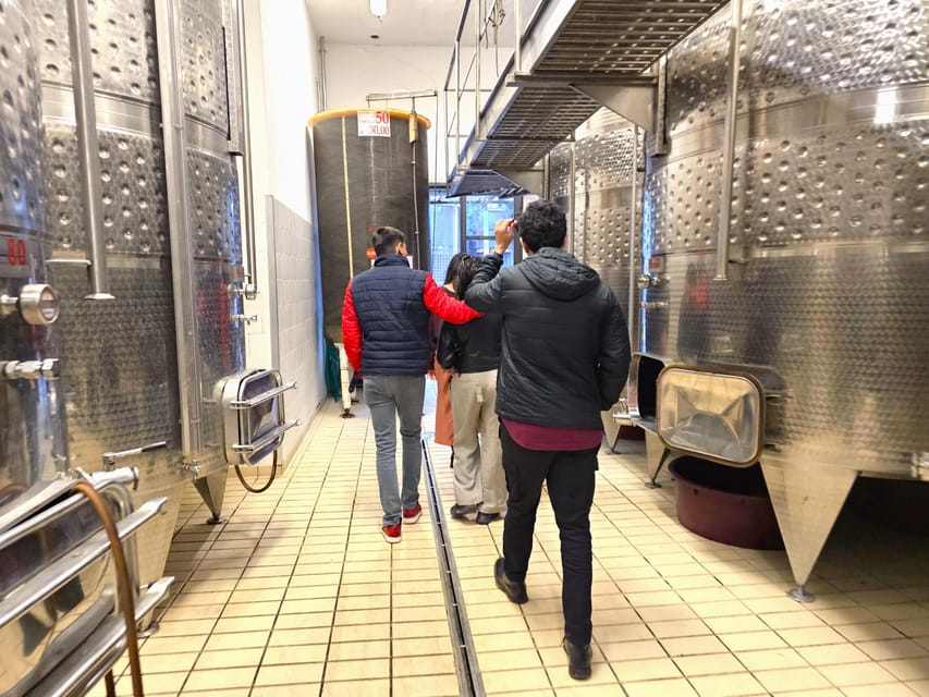 Chianti: Vineyard to Bottle Winery Visit with Tastings - What I Would Bring And How I Would Plan It