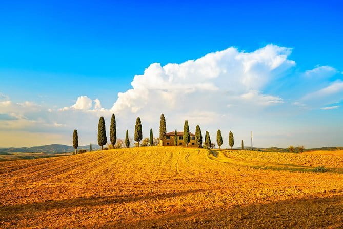 Chianti Vineyards Escape from Florence with Two Wine Tastings - How the Five Hours Feel
