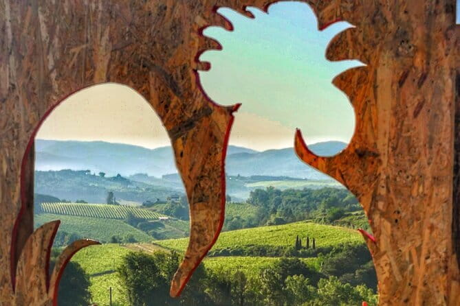 Chianti Vineyards Escape from Florence with Two Wine Tastings - Who Should Book This Chianti Tour?