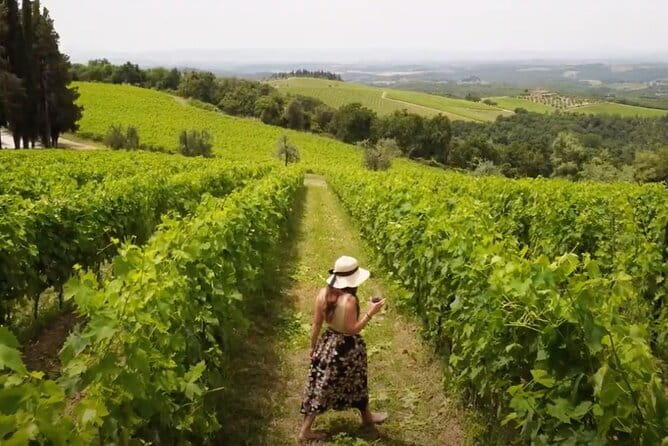 Chianti vineyards: Small-Group tour with wine tasting & Dinner - Leaving Florence for the Chianti hills
