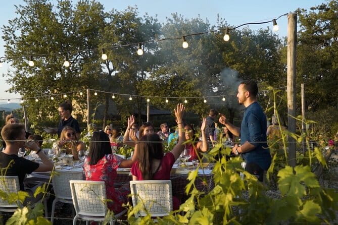 Chianti vineyards: Small-Group tour with wine tasting & Dinner - Wine tasting, olive oil, and local flavors