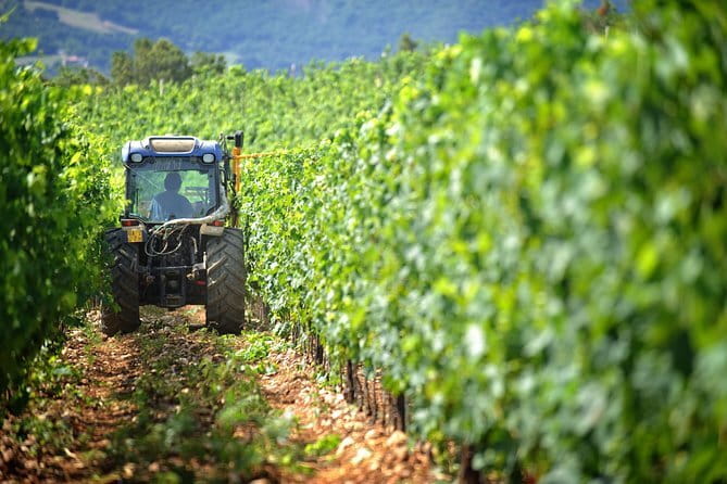 Chianti Vineyards Tours in Private Luxury Van from Florence - Key Points at a Glance