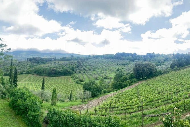 Chianti Vineyards Tours in Private Luxury Van from Florence - Brogioni SAS and Organic Chianti Classico