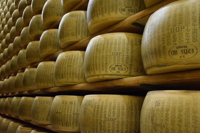 Chianti Vineyards Tours in Private Luxury Van from Florence - Sant’Appiano, Olive Oil, and Family Production
