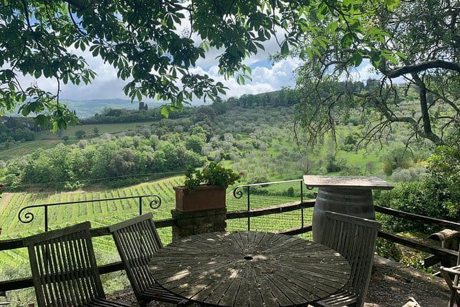 Chianti Vineyards Tours in Private Luxury Van from Florence - Greve in Chianti and the Falorni Food Stop