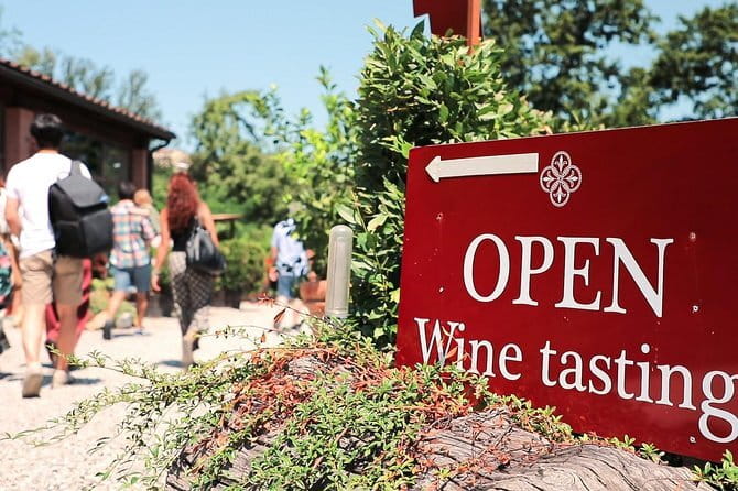 Chianti Wine Tour: Two Wine Tastings, Vineyards and Cellar Visit - Key points to know before booking