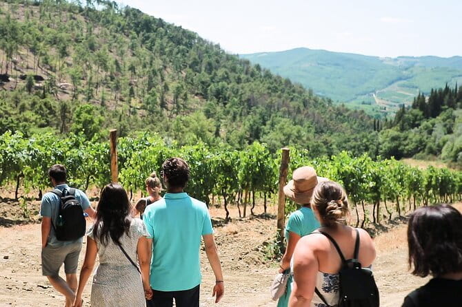Chianti Wine Tour: Two Wine Tastings, Vineyards and Cellar Visit - From Florence to the Chianti hills