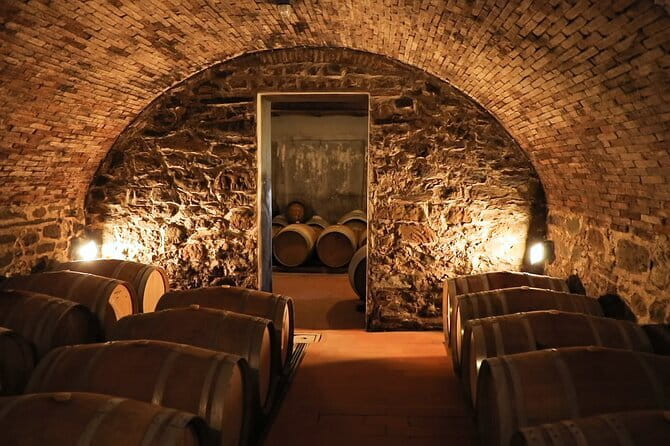 Chianti Wine Tour: Two Wine Tastings, Vineyards and Cellar Visit - How much authentic winery time should you expect?